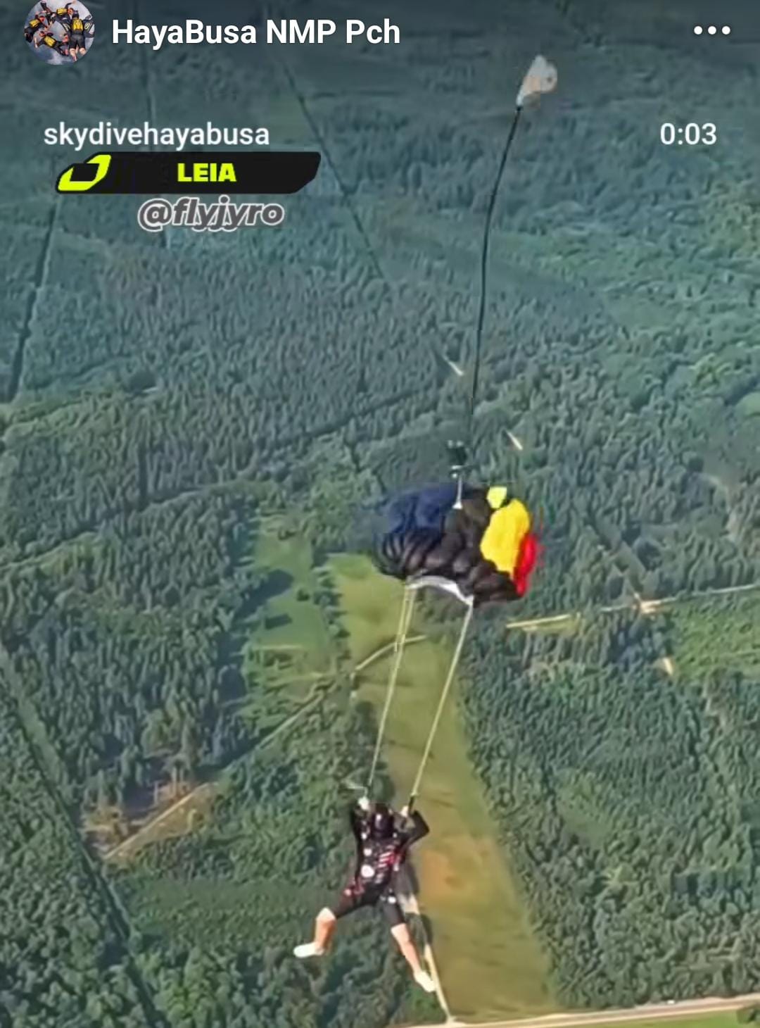 Leia 77 JYRO canopies