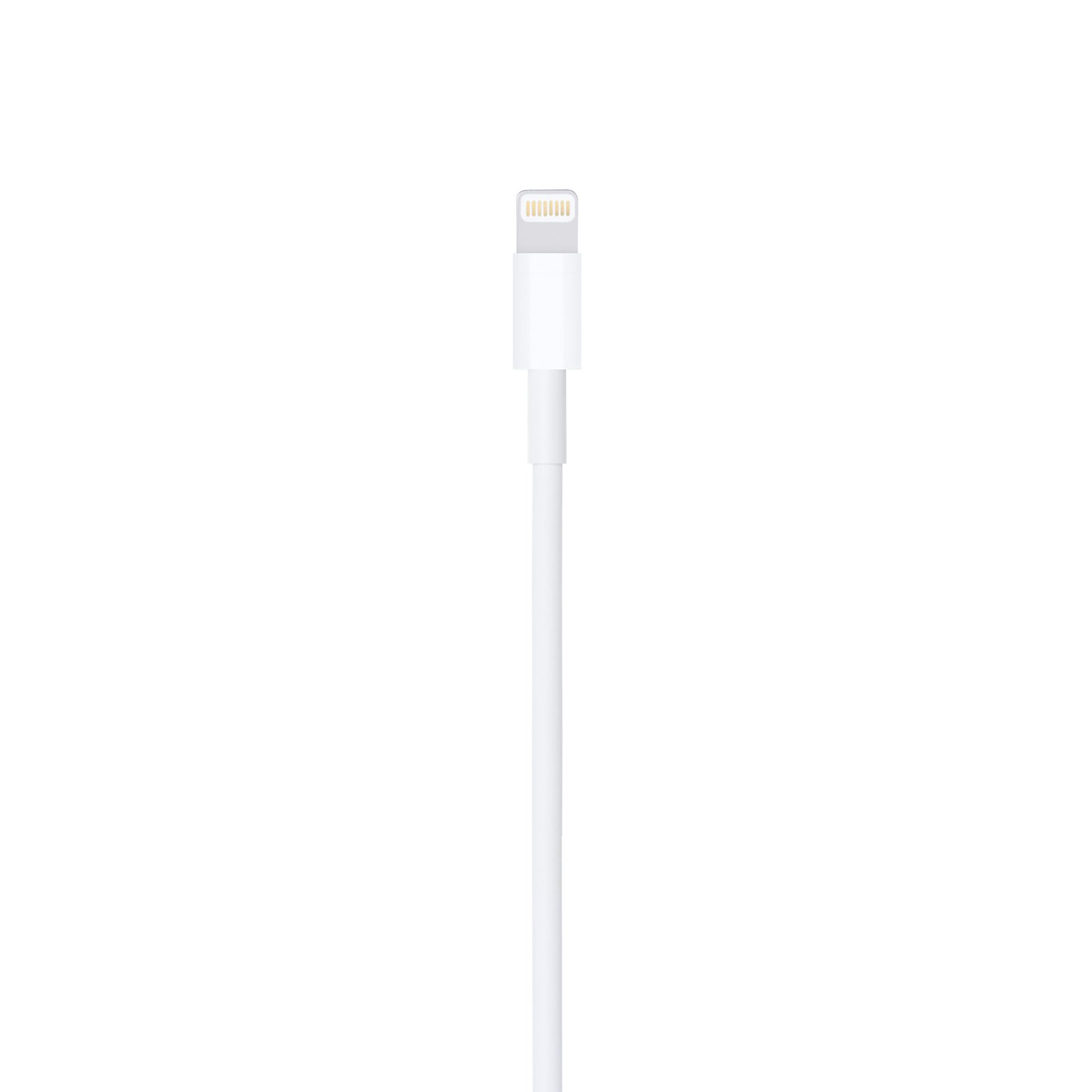 Apple Lightning to USB Cable (1 m) image 3