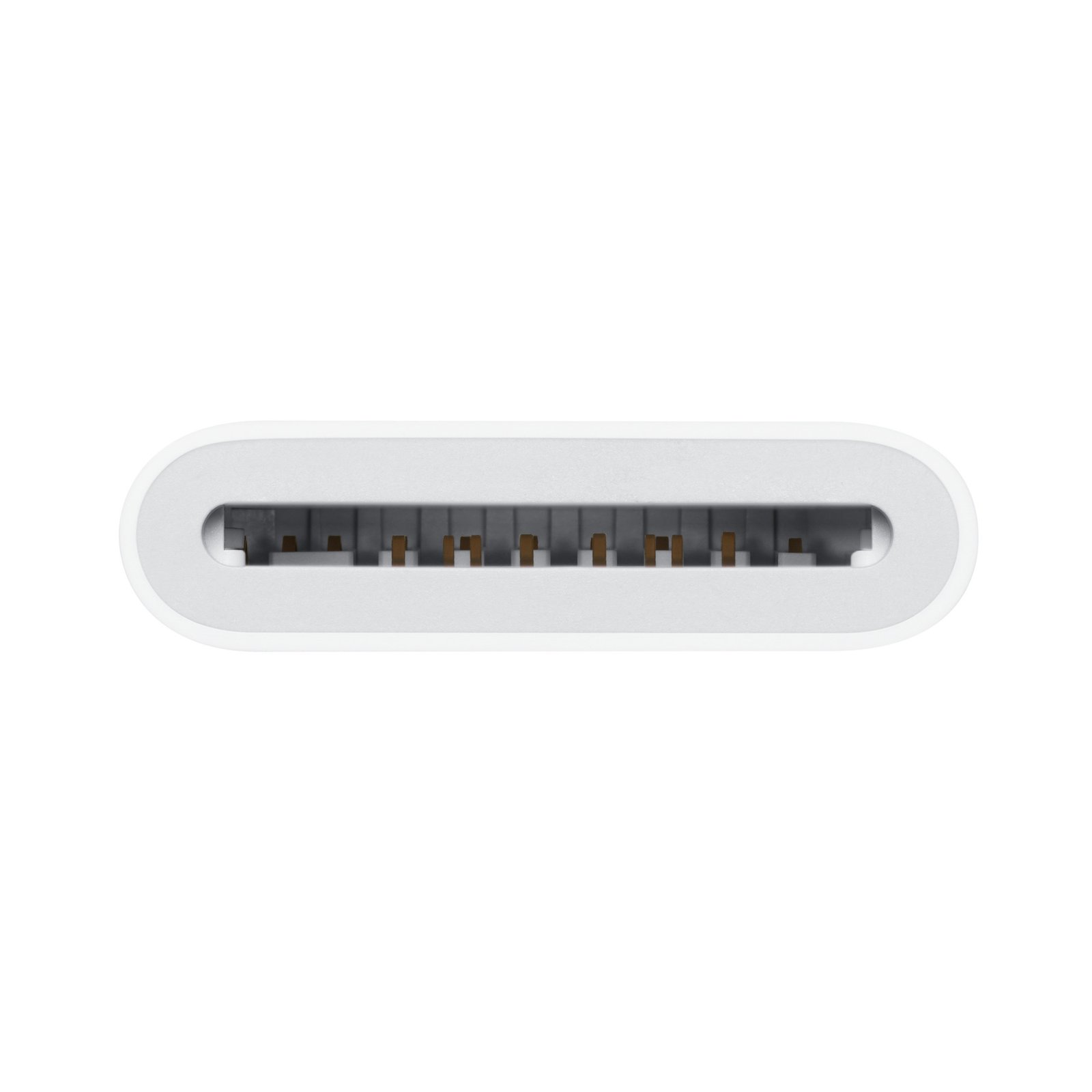Apple USB-C to SD Card Reader image 2