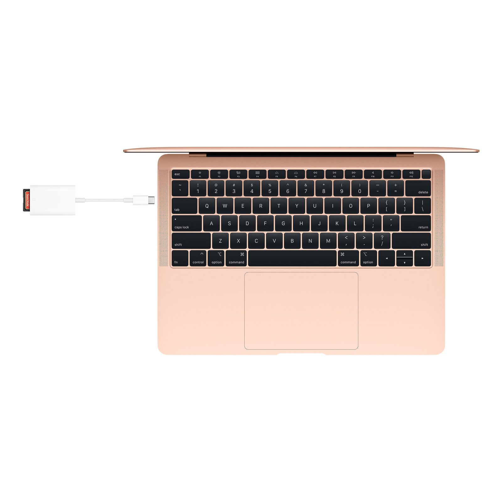 Apple USB-C to SD Card Reader image 4