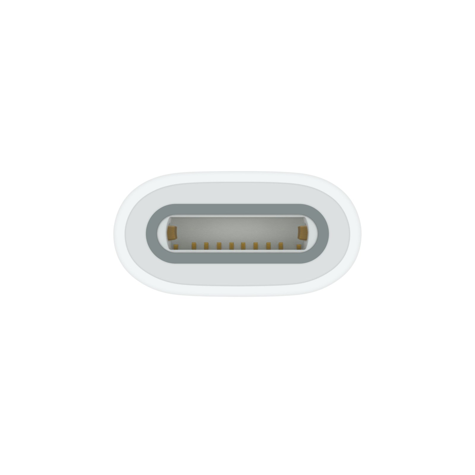 Apple USB-C to Apple Pencil Adapter image 3