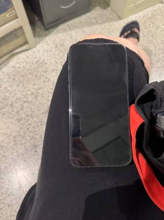 iPhone 13 Pro Max - $400