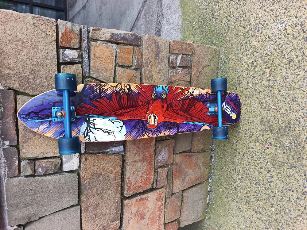 longboard image 2
