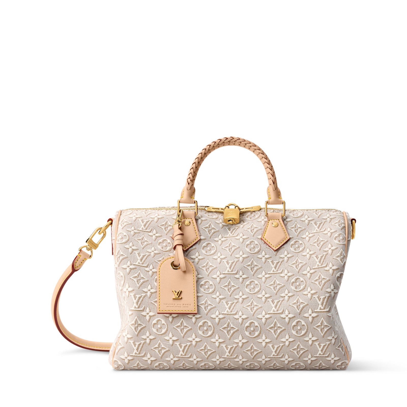 Louis Vuitton Speedy Soft 30 Bag