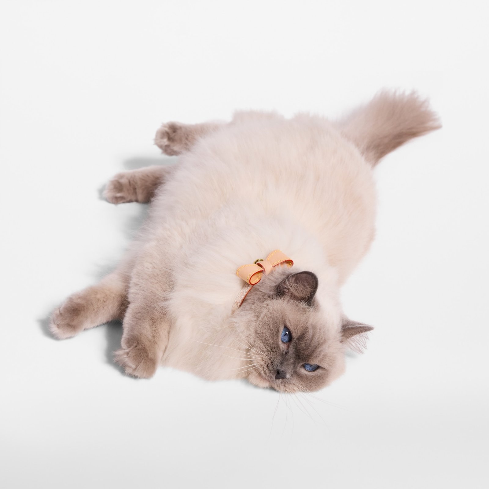 Louis Vuitton Cat Bow Collar image 5