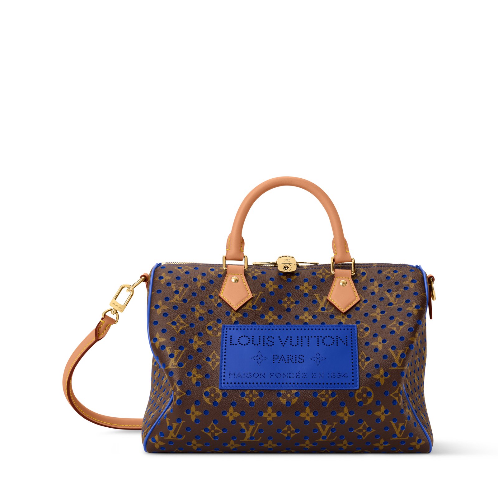 Louis Vuitton Speedy Soft 30 Bag