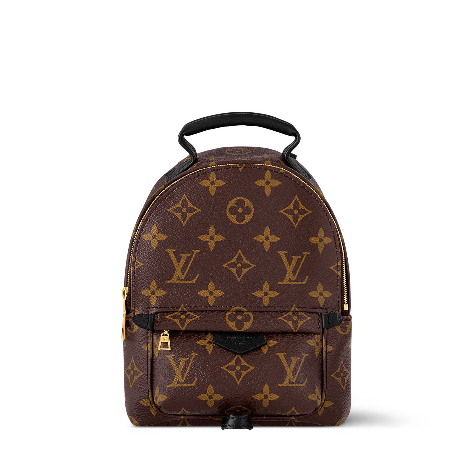 Louis Vuitton Palm Springs Mini Backpack