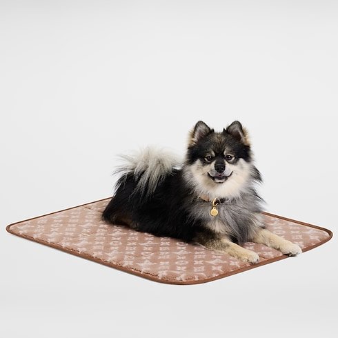 Louis Vuitton Dog Travel Mat