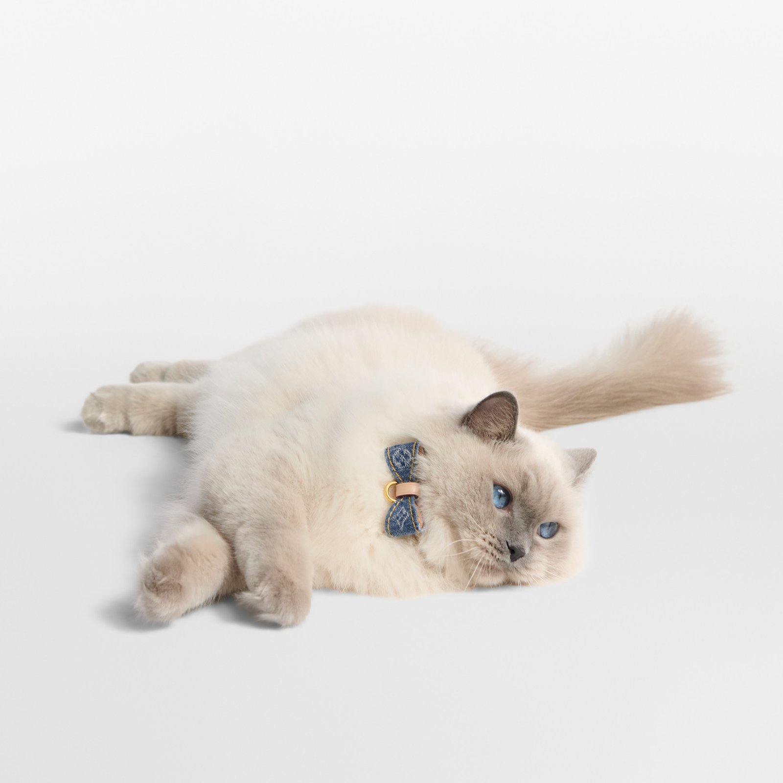 Louis Vuitton Cat Collar image 5