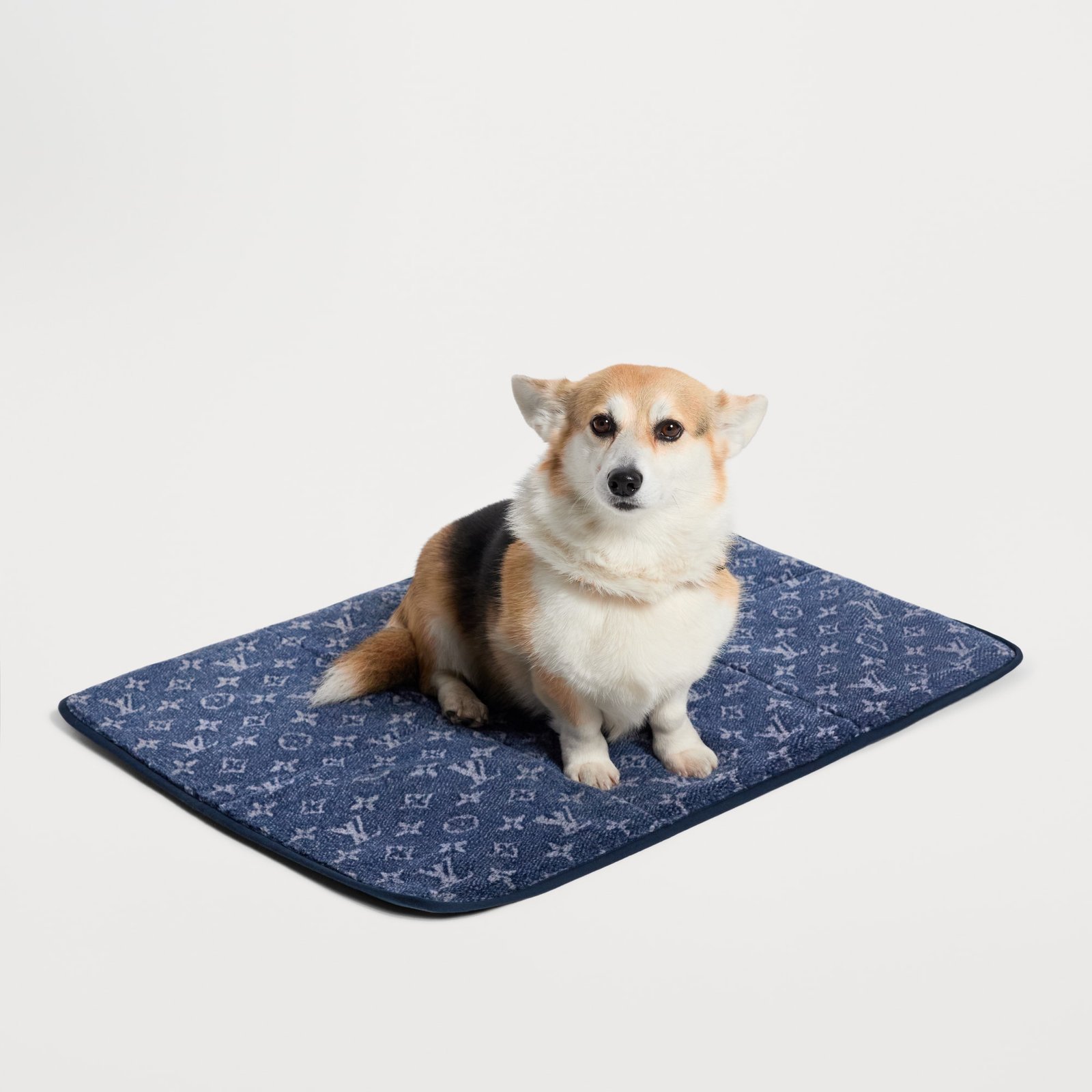 Louis Vuitton Dog Travel Mat image 5