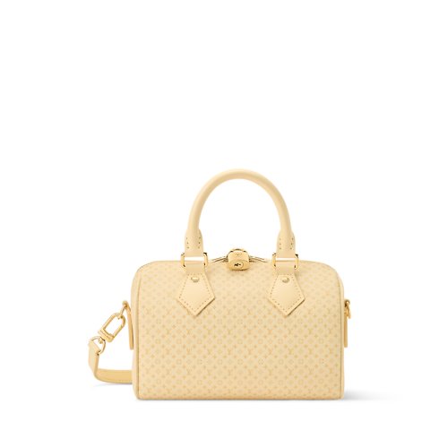Louis Vuitton Speedy Bandoulière 20 Bag