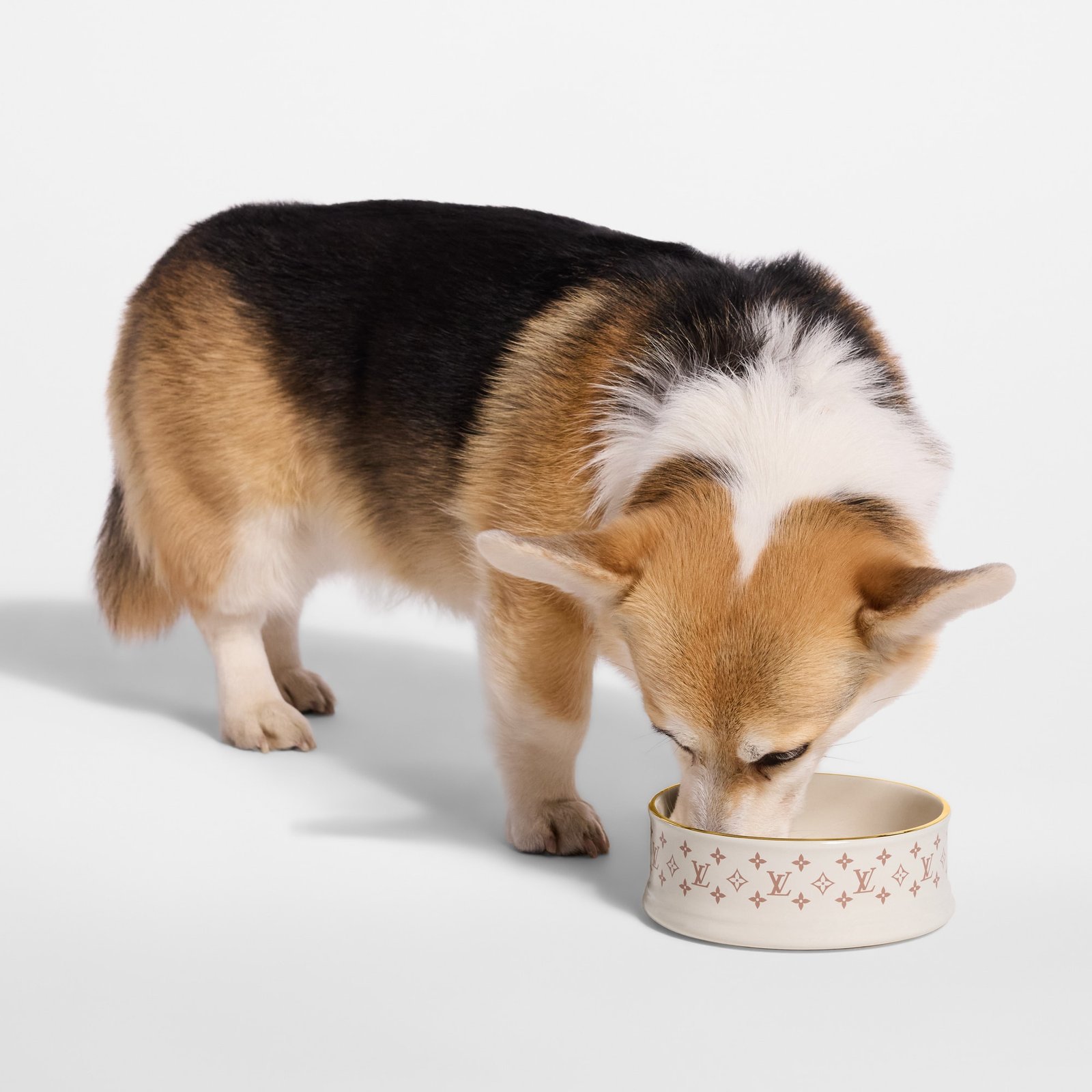 Louis Vuitton Dog Bowl image 5