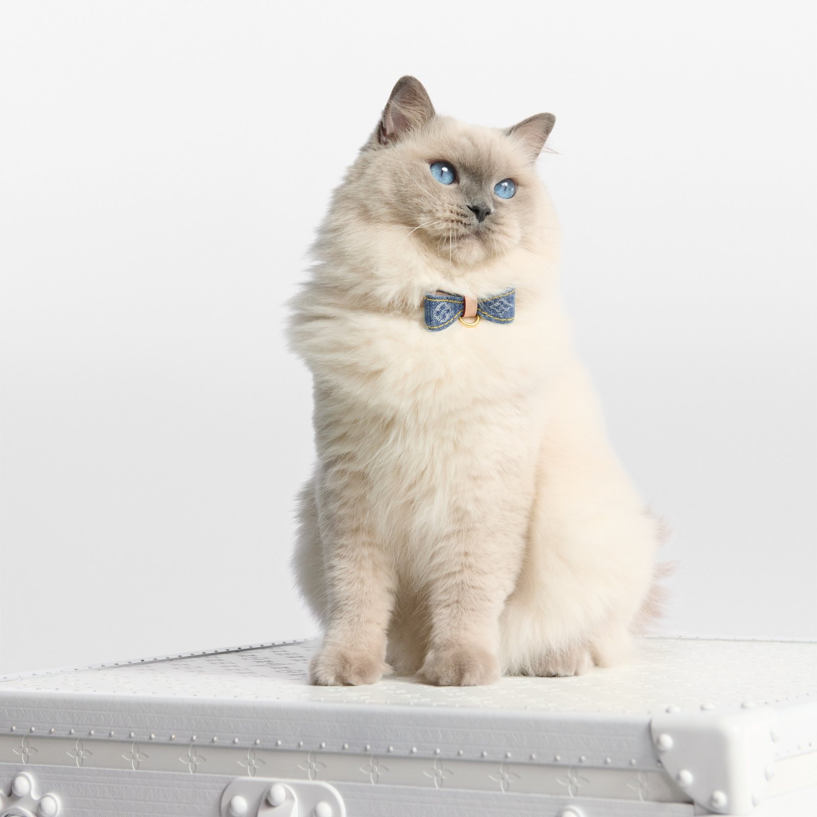 Louis Vuitton Cat Collar image 4