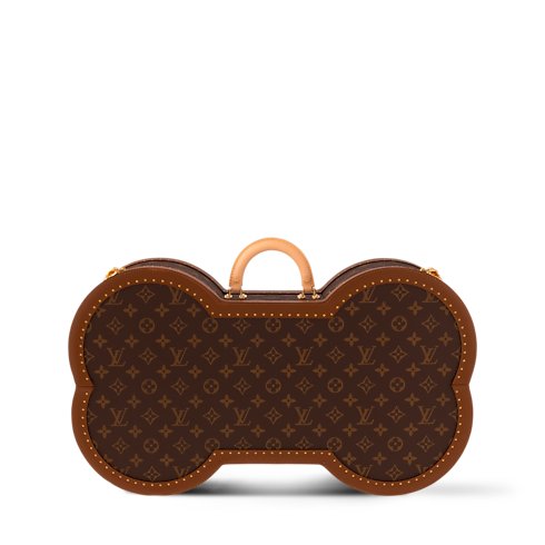 Louis Vuitton Bone Trunk