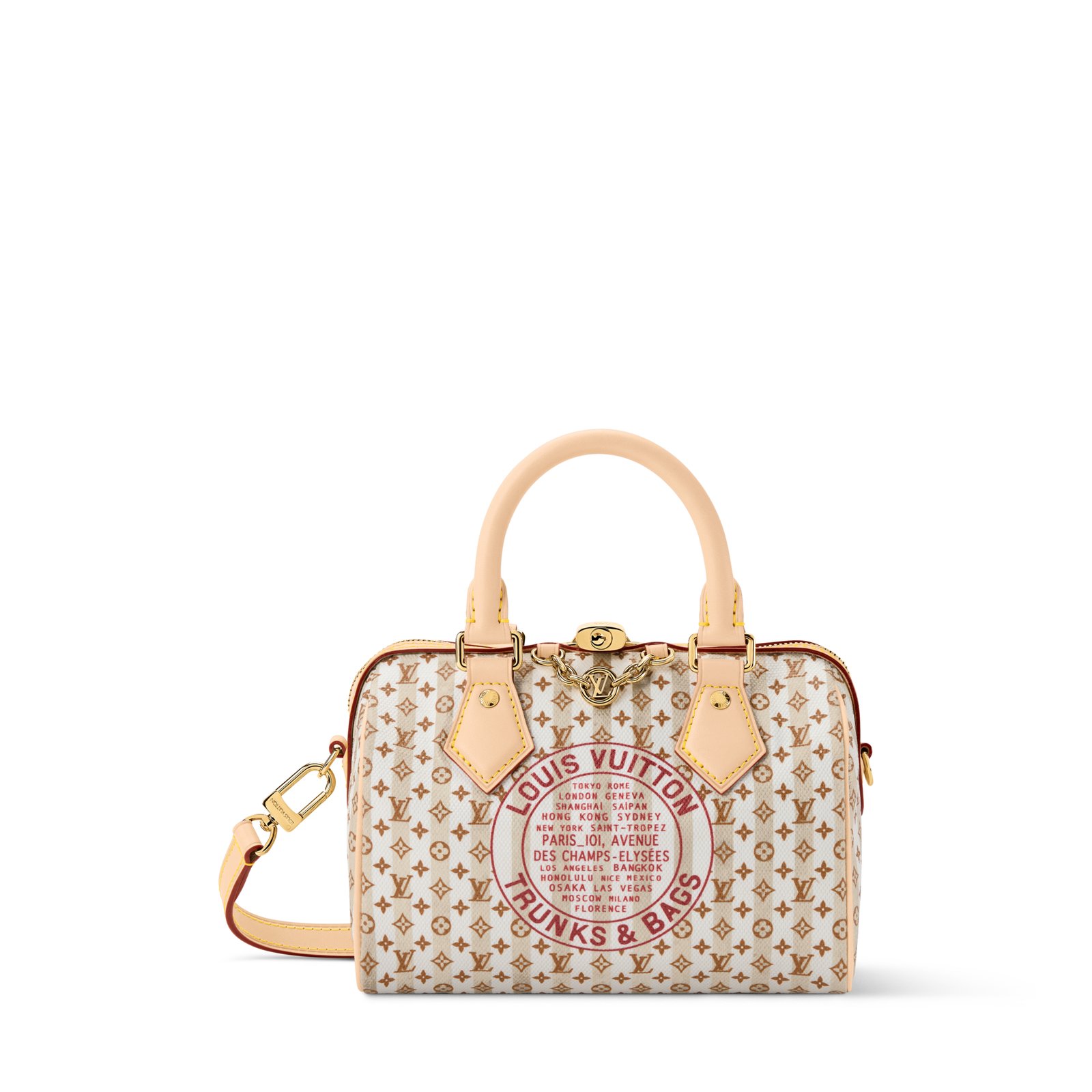 Louis Vuitton Speedy Bandoulière 20 Bag