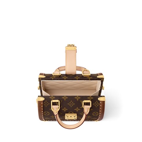 Louis Vuitton Speedy Trunk 20 Monogram Bag image 3