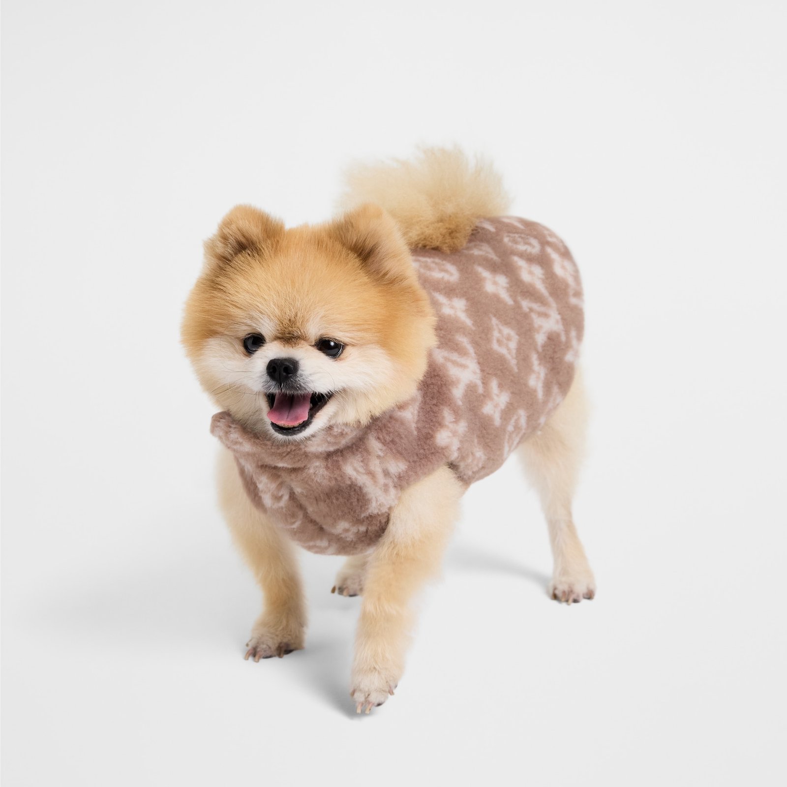 Louis Vuitton Dog Fleece XS image 5