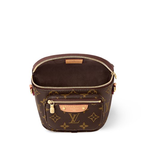 Louis Vuitton Mini Bumbag image 4