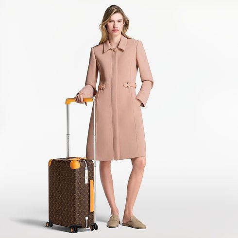 Louis Vuitton Horizon 55 Cabin Suitcase image 2