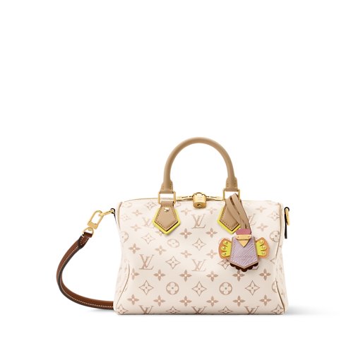 Louis Vuitton Speedy Bandoulière 25 Bag