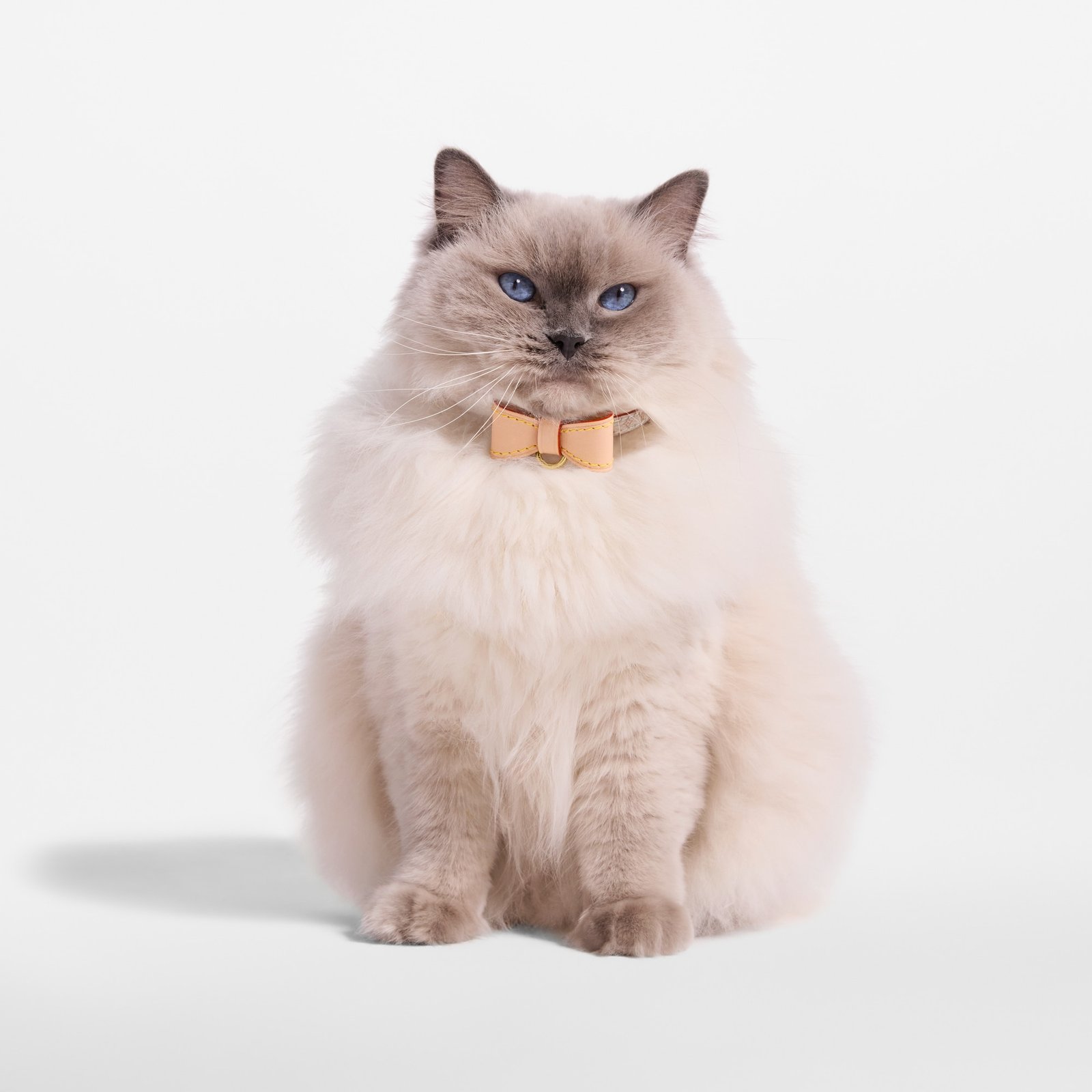 Louis Vuitton Cat Bow Collar image 4