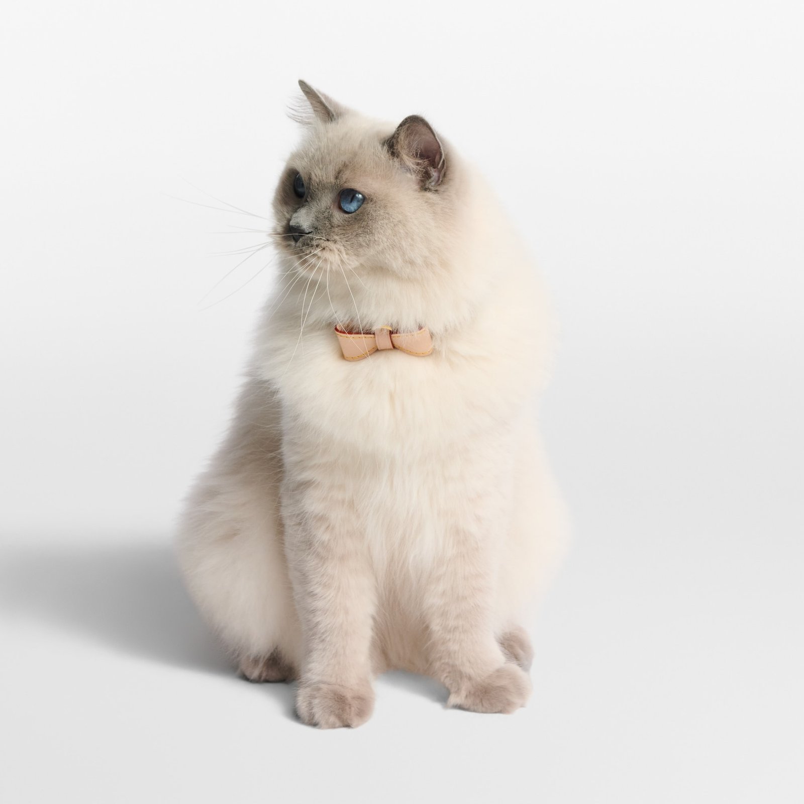 Louis Vuitton Cat Bow Collar image 4