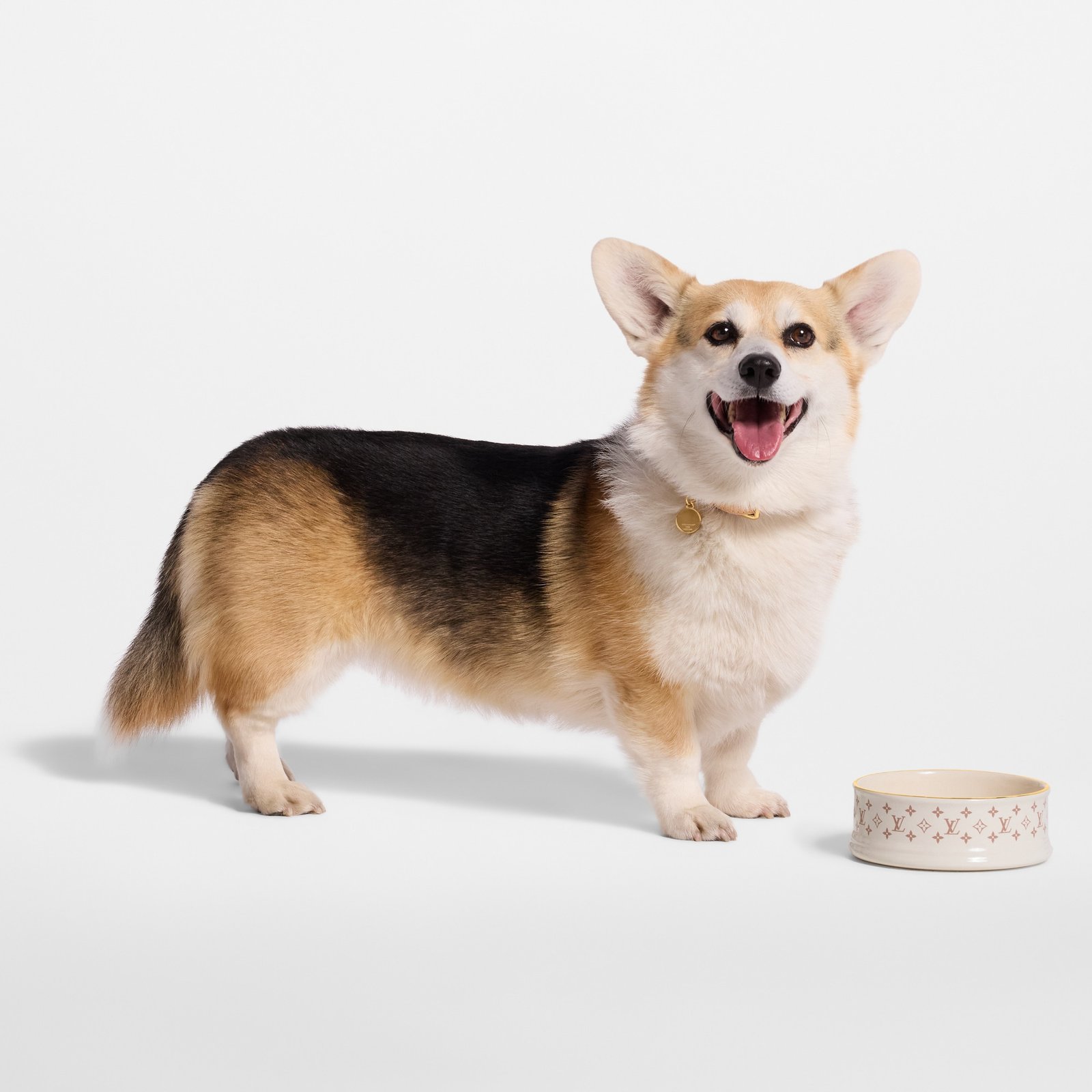 Louis Vuitton Dog Bowl image 4
