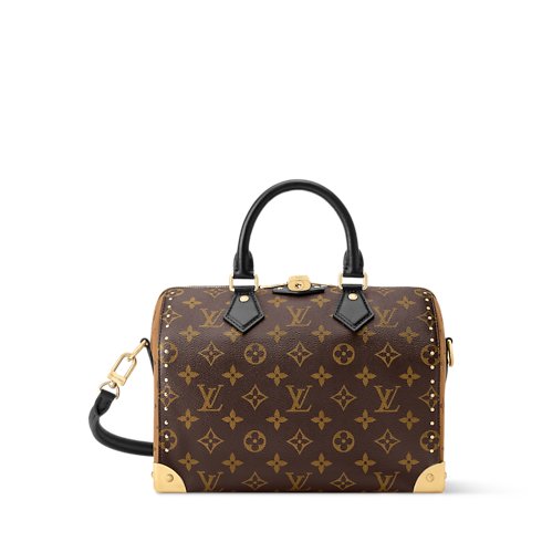 Louis Vuitton Speedy Trunk 25 Bag