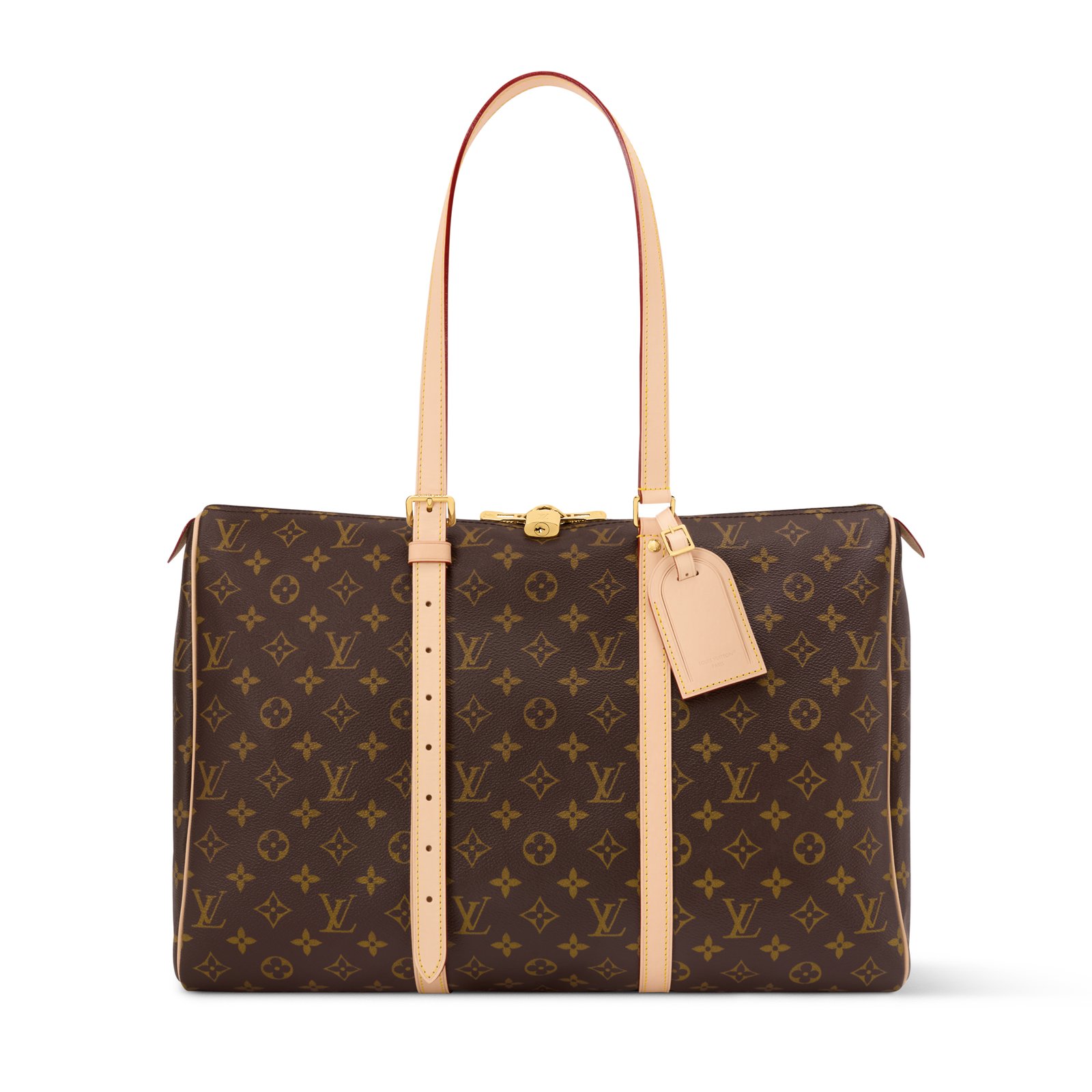 Louis Vuitton Flânerie 45 Bag