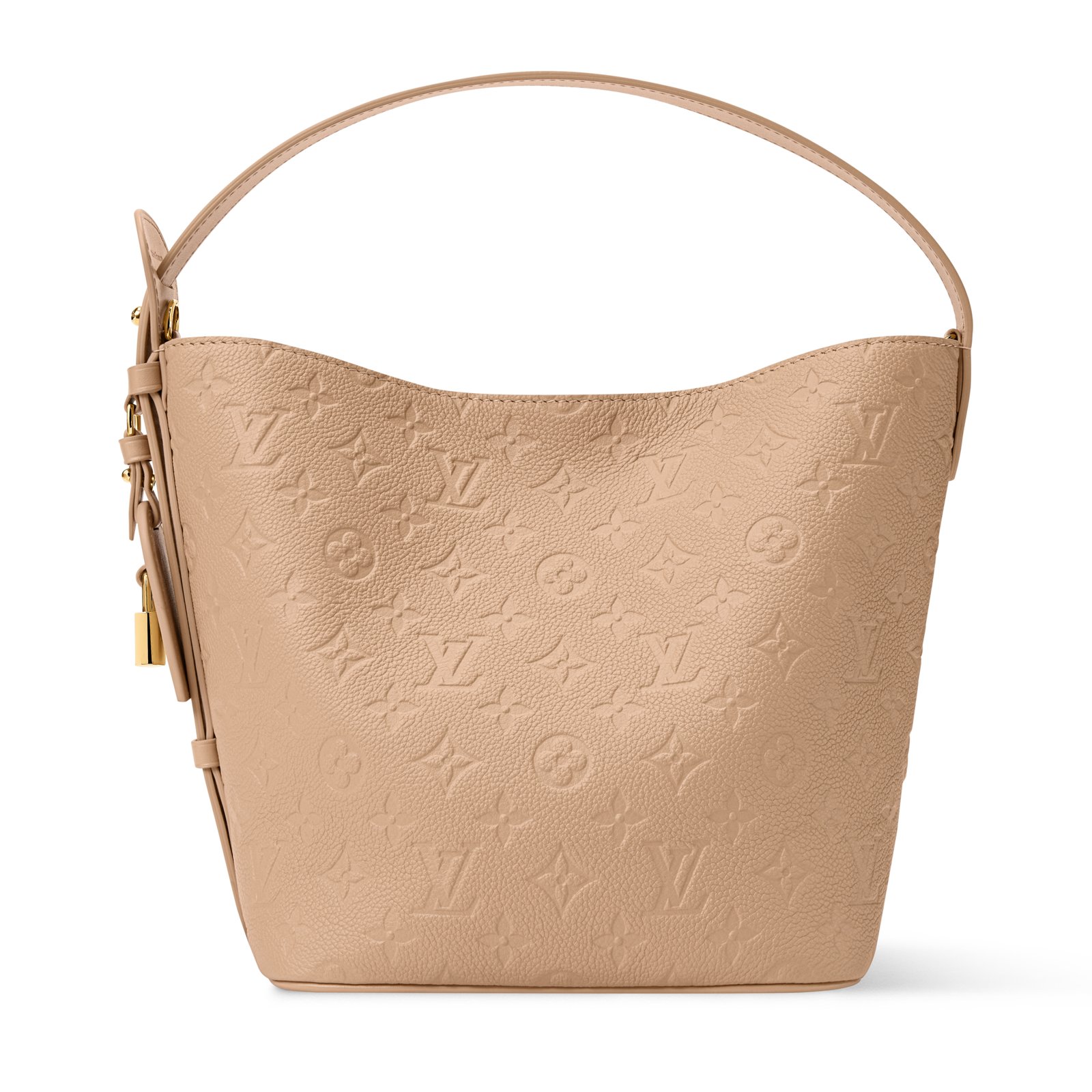 Louis Vuitton All In MM Bag