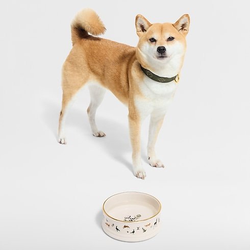 Louis Vuitton Dog Bowl image 2