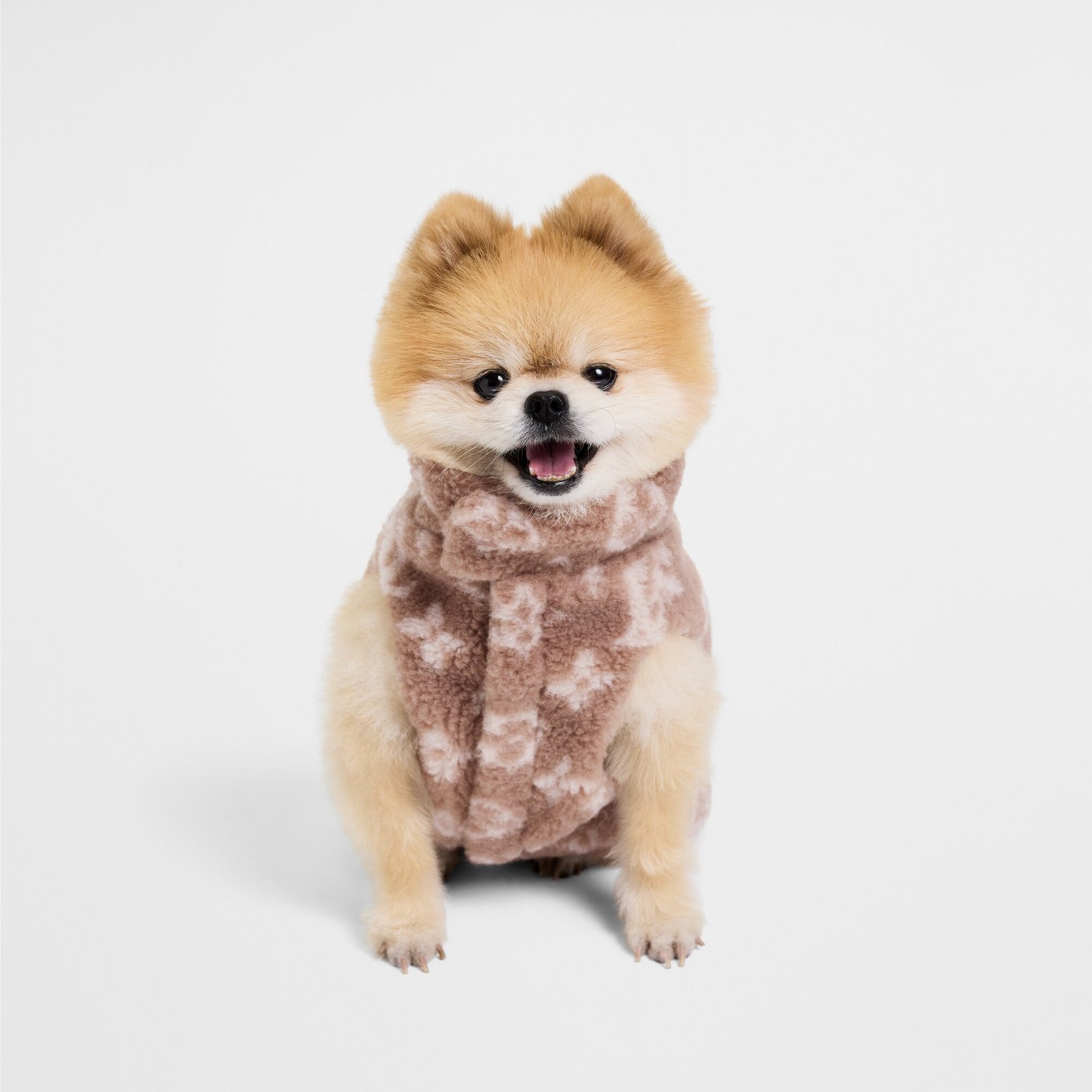 Louis Vuitton Dog Fleece XS