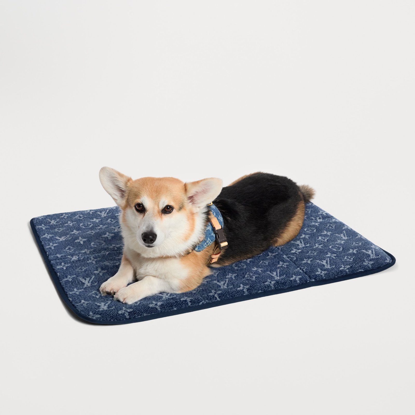 Louis Vuitton Dog Travel Mat image 6