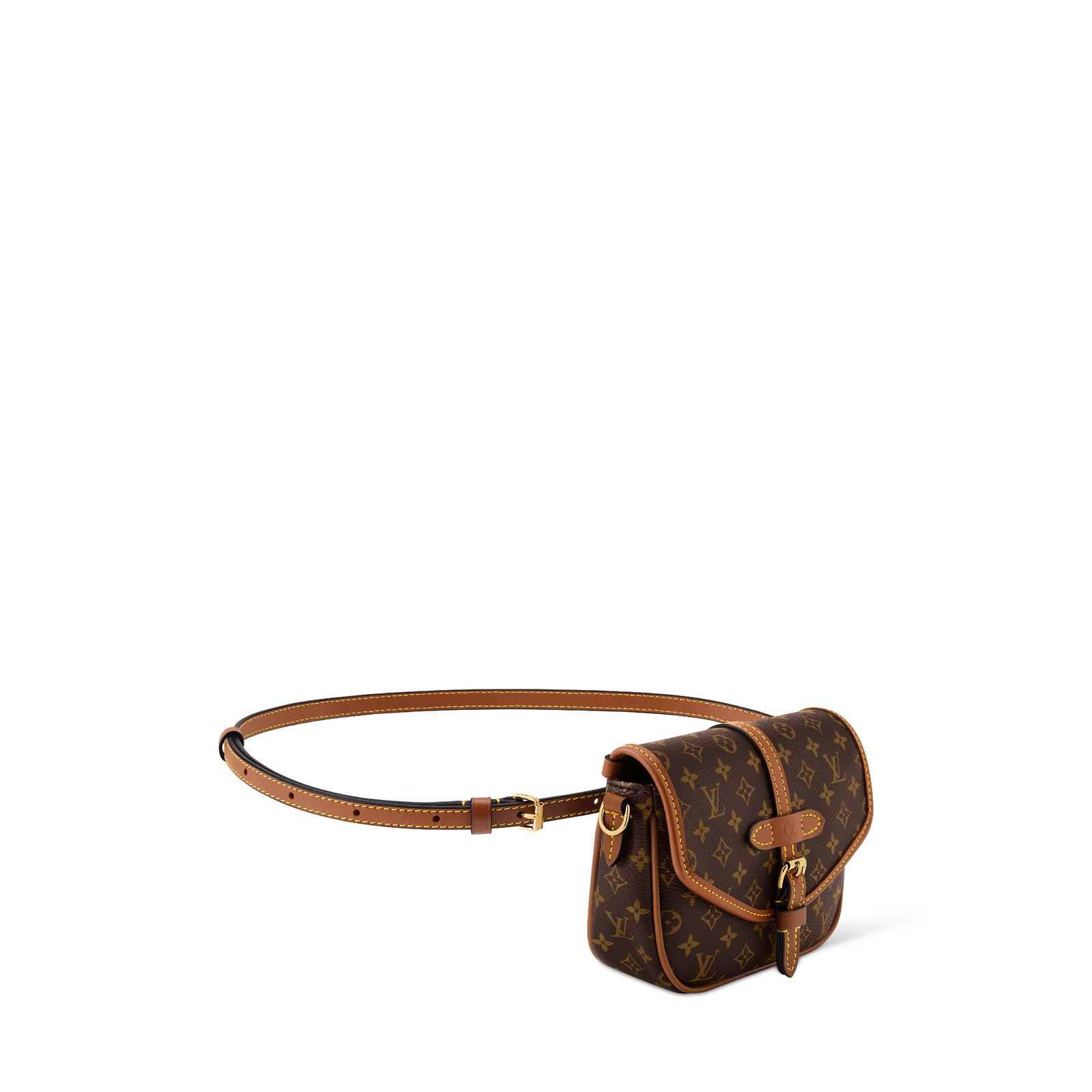 Louis Vuitton Solo Pouch