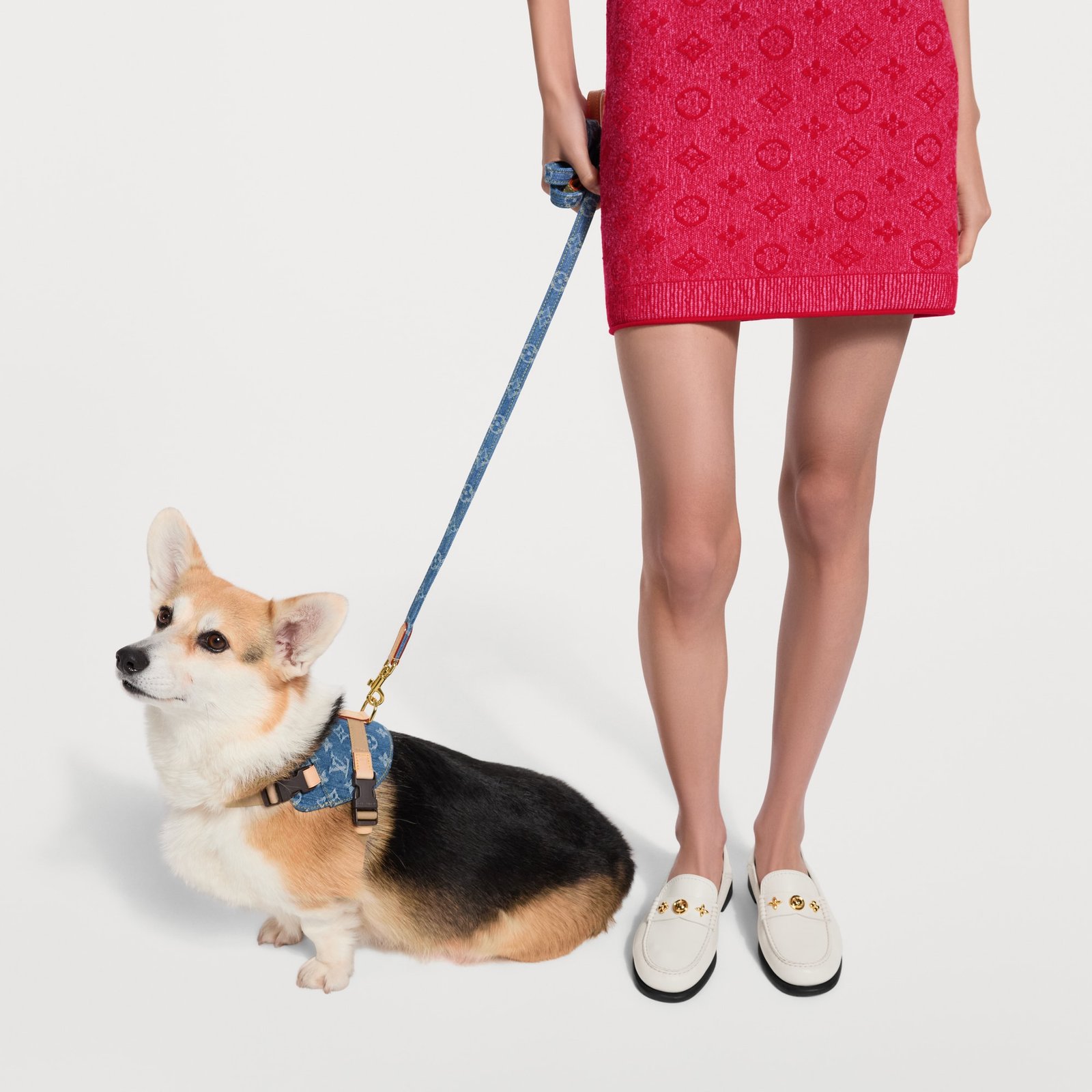 Louis Vuitton Dog Leash MM image 4