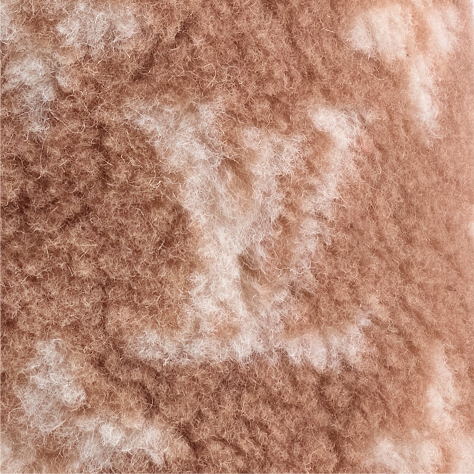 Louis Vuitton Dog Fleece XS image 3